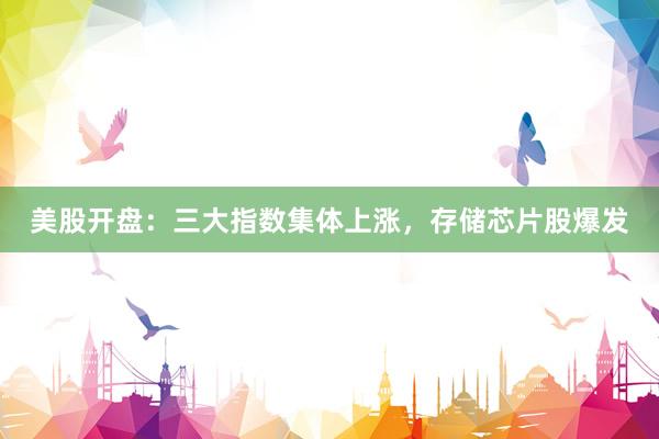 美股开盘：三大指数集体上涨，存储芯片股爆发