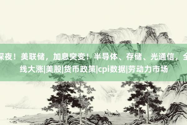 深夜！美联储，加息突变！半导体、存储、光通信，全线大涨|美股|货币政策|cpi数据|劳动力市场