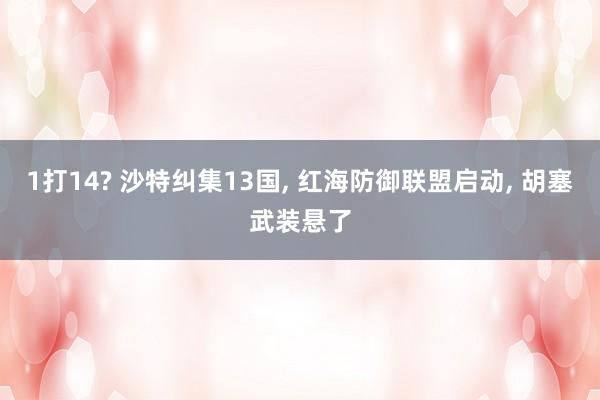 1打14? 沙特纠集13国, 红海防御联盟启动, 胡塞武装悬了