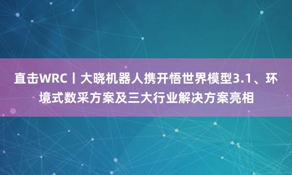 直击WRC丨大晓机器人携开悟世界模型3.1、环境式数采方案及三大行业解决方案亮相