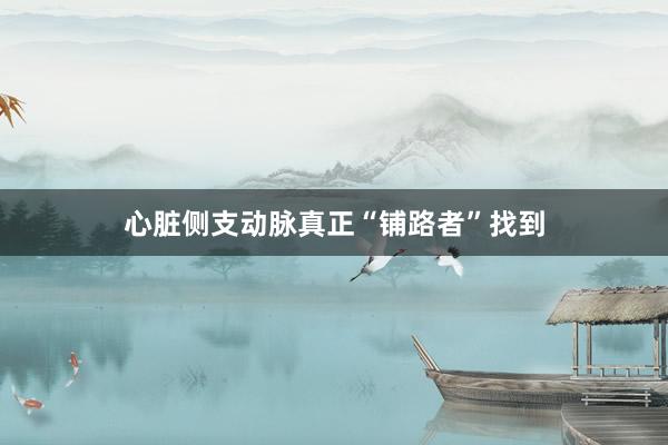 心脏侧支动脉真正“铺路者”找到