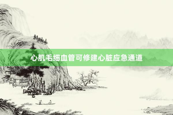 心肌毛细血管可修建心脏应急通道