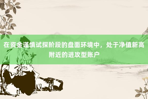 在资金谨慎试探阶段的盘面环境中，处于净值新高附近的进攻型账户