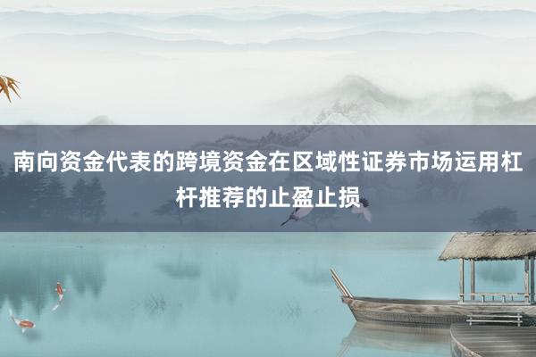 南向资金代表的跨境资金在区域性证券市场运用杠杆推荐的止盈止损