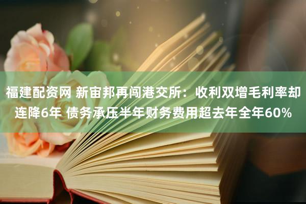 福建配资网 新宙邦再闯港交所：收利双增毛利率却连降6年 债务承压半年财务费用超去年全年60%