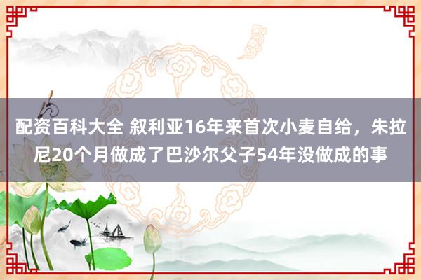 配资百科大全 叙利亚16年来首次小麦自给，朱拉尼20个月做成了巴沙尔父子54年没做成的事
