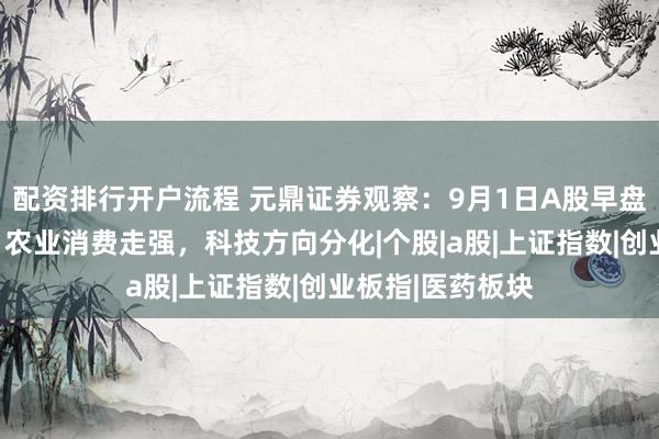 配资排行开户流程 元鼎证券观察：9月1日A股早盘热点加速轮动，农业消费走强，科技方向分化|个股|a股|上证指数|创业板指|医药板块