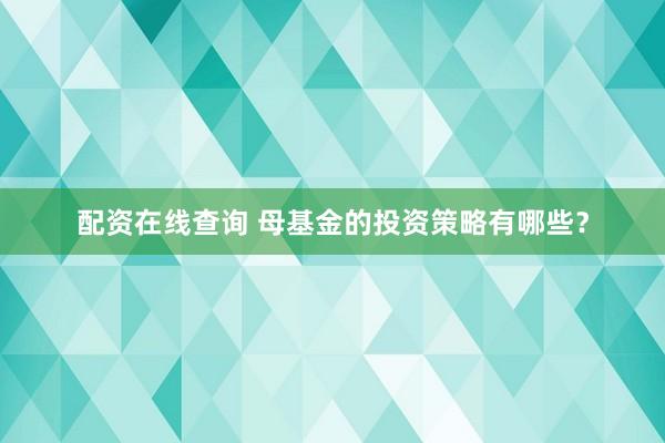 配资在线查询 母基金的投资策略有哪些？