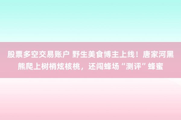 股票多空交易账户 野生美食博主上线！唐家河黑熊爬上树梢炫核桃，还闯蜂场“测评”蜂蜜