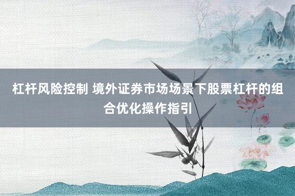 杠杆风险控制 境外证券市场场景下股票杠杆的组合优化操作指引