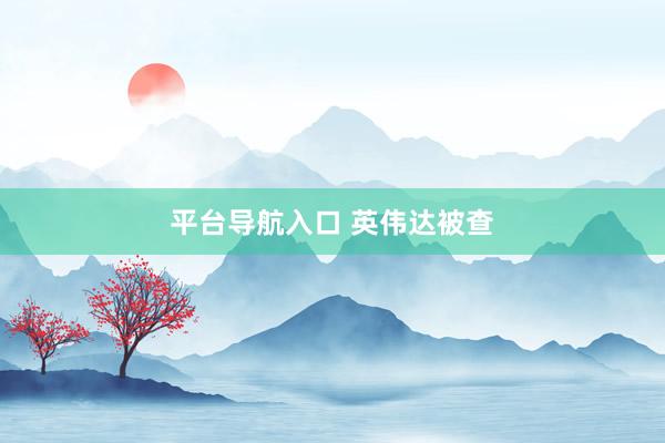 平台导航入口 英伟达被查