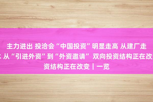 主力进出 投洽会“中国投资”明显走高 从建厂走向卖技术 从“引进外资”到“外资邀请” 双向投资结构正在改变｜一览