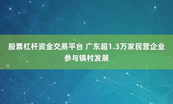 股票杠杆资金交易平台 广东超1.3万家民营企业参与镇村发展