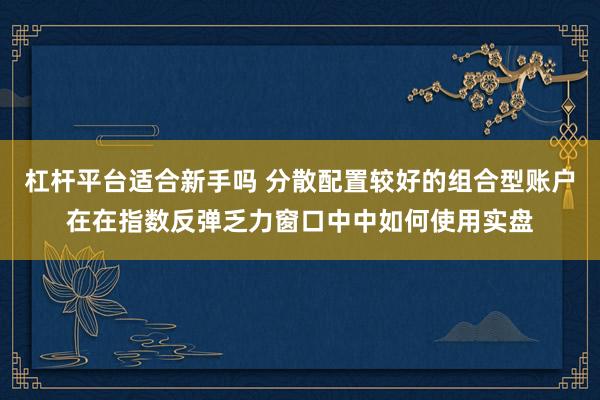 杠杆平台适合新手吗 分散配置较好的组合型账户在在指数反弹乏力窗口中中如何使用实盘